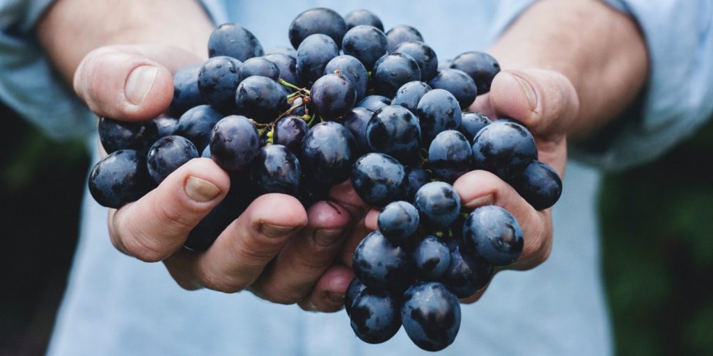 A szőlőmagból készült növényi olaj kiváló bőrápoló hatással bír. 